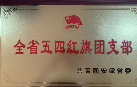 beat365官网电气信息工程学院2018级通信工程团总支荣获“全省五四红旗团（总）支部”称号