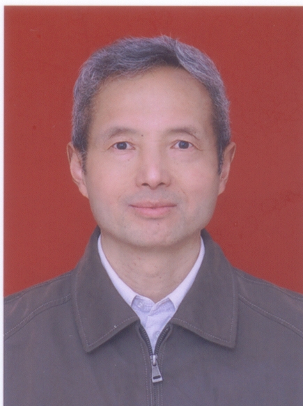 <strong>张韬</strong>