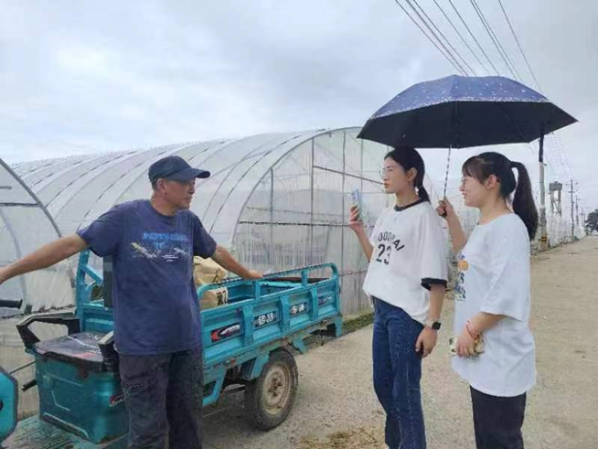 探寻乡村振兴之路，助推特色蔬菜产业发展